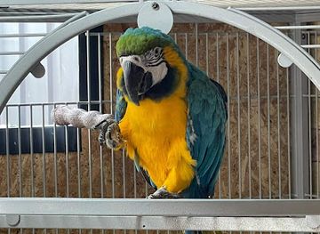 bosnia-and-herzegovina/una-sana-canton/attraction/ranc-aris