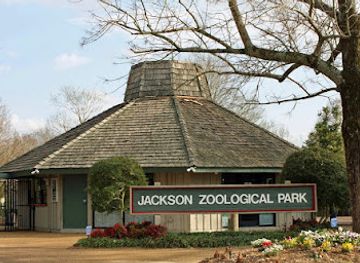 The Jackson Zoo