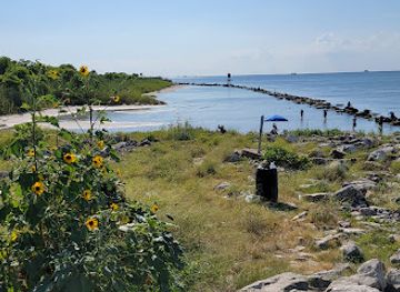 texas/galveston/attraction/east-end-lagoon-nature-preserve
