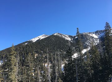 arizona/san-francisco-peaks/attraction/kachina-peaks-wilderness