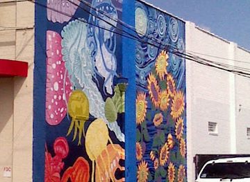 florida/jacksonville/attraction/jellyfish-mural
