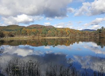 united-kingdom/scotland/attraction/scottish-wildlife-trust-loch-of-the-lowes-visitor-centre-wildlife-reserve
