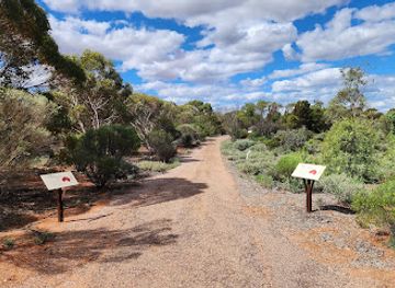 australia/south-west/attraction/australian-arid-lands-botanic-garden