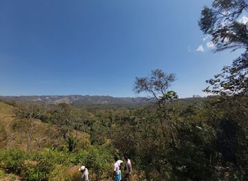 bolivia/amboro-national-park/attraction/vista-bella