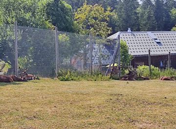 france/franche-comte/attraction/parc-polaire