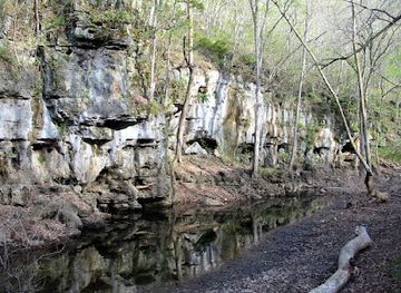 missouri/mark-twain-national-forest/attraction/irish-wilderness