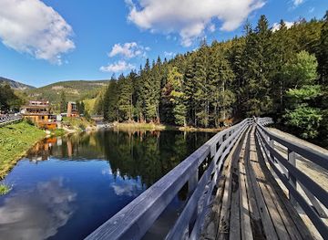 czechia/krkonose/attraction/monkey-park-pec-pod-snezkou-by-skiresort-cerna-hora-pec