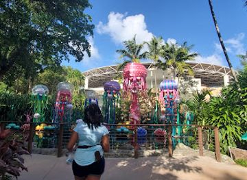 florida/miami-beach/attraction/miami-friends-of-the-japanese-garden