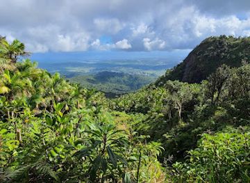 puerto-rico/caribbean-national-forest/attraction/el-toro-trail