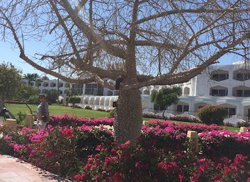 egypt/sharm-el-sheikh/attraction/min-strand-stol