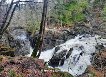 united-kingdom/cairngorms-national-park/attraction/tay-forest-park