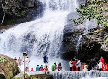 india/kerala/attraction/areeckal-waterfalls