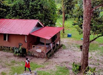 malaysia/kedah/attraction/dangau-stay