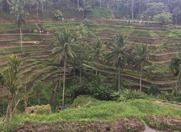 indonesia/bali/attraction/bali-sightseeing-rukmana-bali-tour