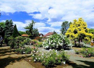 czechia/hradec-kralove/attraction/rozarium