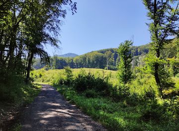 hungary/matra-mountains/attraction/szent-istvan-csevicekut