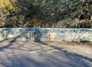 texas/central-texas/attraction/larry-monroe-forever-bridge
