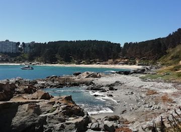 chile/norte-grande/attraction/reserva-nacional-parque-el-canelo