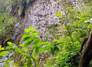 seychelles/felicite-island/attraction/morne-seychellois-trail