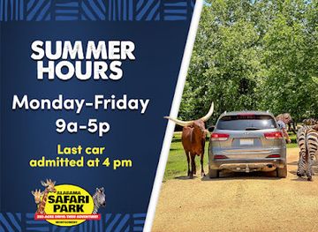 alabama/coosa-valley/attraction/alabama-safari-park