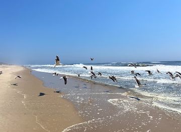 new-york/montauk/attraction/hither-hills-state-park-4x4-beach-access-road-1