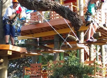 florida/space-coast/attraction/cocoa-beach-aerial-adventures