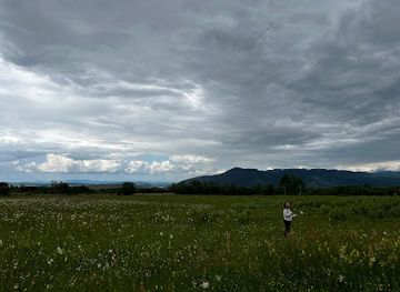 romania/hunedoara/attraction/poiana-narciselor