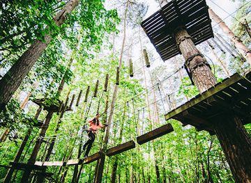 lithuania/anyksciai-treetop-walking-path/attraction/dainuvos-adventure-valley