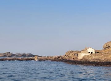 namibia/luderitz/attraction/penguin-catamaran-tours