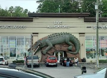 tennessee/great-smoky-mountains/attraction/gatorland