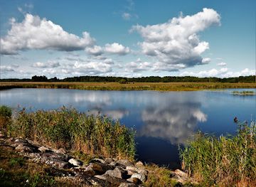 estonia/saaremaa-island/attraction/vainatamm