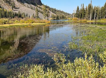 california/mammoth-lakes/attraction/lakes-basin-path-horseshoe-lake-trailhead