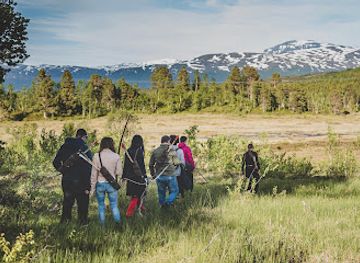 norway/tromso/attraction/the-nature-bow-game-tromso-excursions