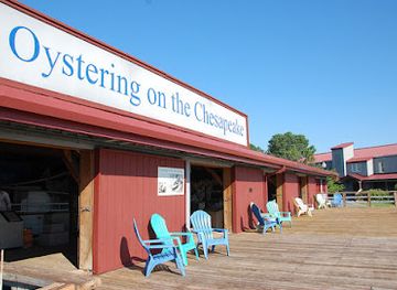 maryland/chesapeake-bay-area/attraction/oystering-on-the-chesapeake-cbmm