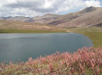 pakistan/kohistan/attraction/thalpan-petroglyphs