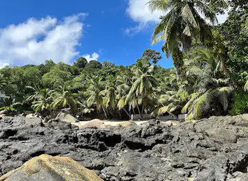Tusculum Beach