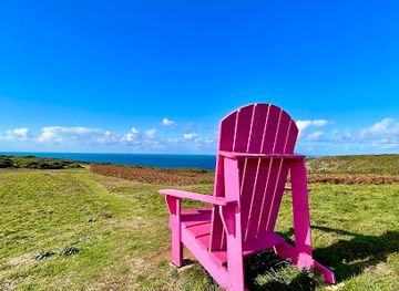 guernsey/st-sampson/attraction/the-big-pink-chair