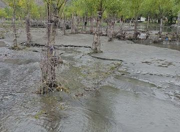 pakistan/deosai-national-park/attraction/saher-viewpoint-and-wooden-bridge