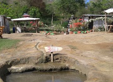 saint-vincent-and-the-grenadines/tobago-cays-marine-park/attraction/river-sallee-boiling-springs