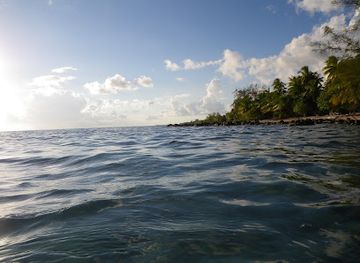 french-polynesia/rangiroa/attraction/y-aka-plongee-rangiroa