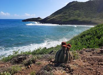 sint-maarten/cole-bay/attraction/wander-route-coastal-trail
