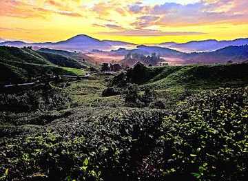 malaysia/cameron-highlands/attraction/iconic-cameron-sunrise-viewing-spot
