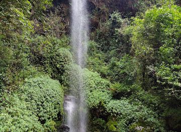 colombia/pereira/attraction/the-pastora-regional-park-natural-ucumari