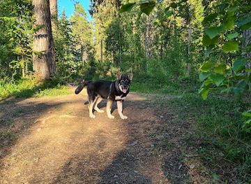 sweden/ostersund/attraction/furuhov-hund-jaktpark
