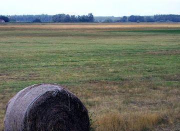 hungary/southern-great-plain/attraction/nagy-bara-szikes-puszta