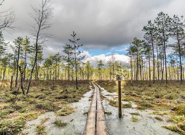 estonia/viljandimaa/attraction/selli-sillaotsa-study-trail