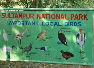 india/delhi/attraction/sultanpur-national-park