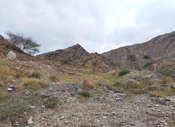 oman/masirah-island/attraction/wadi-al-zuhur