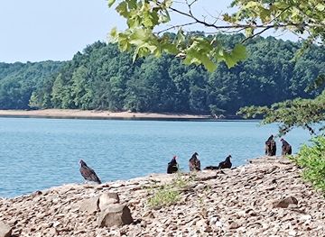 kentucky/daniel-boone-national-forest/attraction/holly-bay