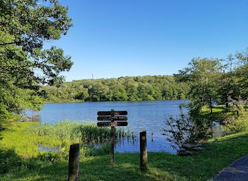 massachusetts/berkshires/attraction/pittsfield-state-forest